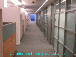 Corridor02.gif (33910 bytes)