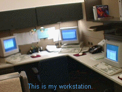 MyDesk01.gif (28611 bytes)